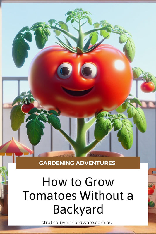 How to Grow Tomatoes Without a Backyard