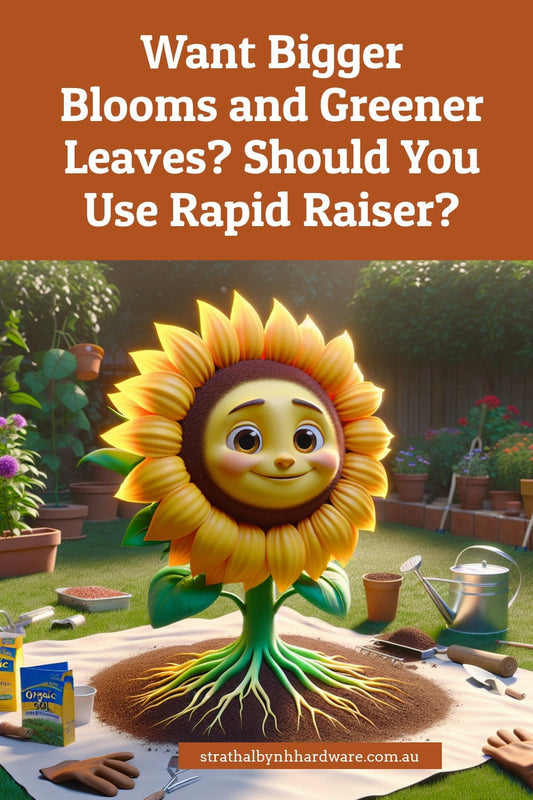 Want Bigger Blooms and Greener Leaves? Should You Use Rapid Raiser?