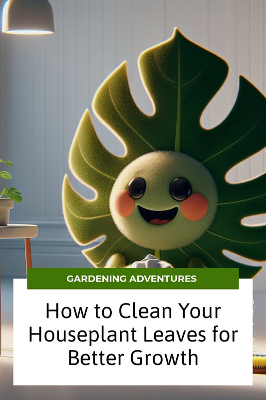 How to Clean Your Houseplant Leaves for Better Growth