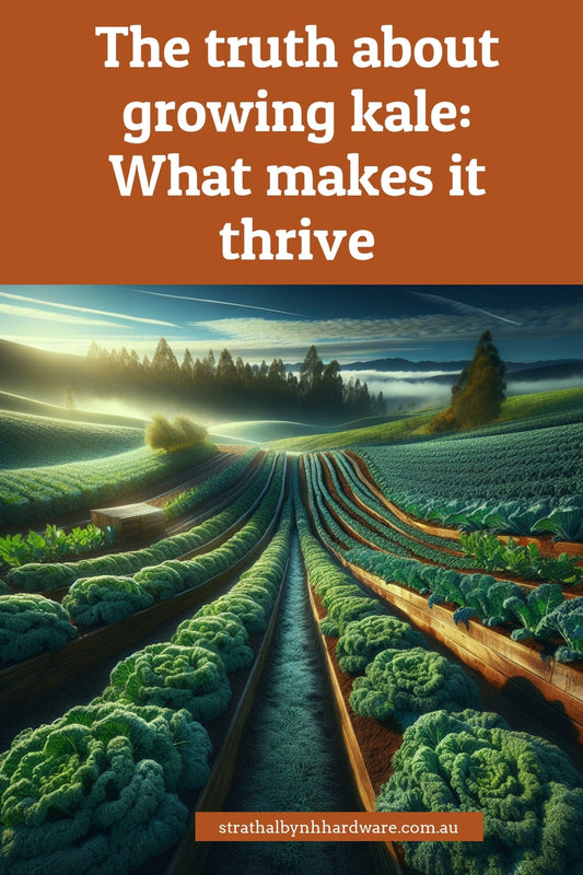 The truth about growing kale: What makes it thrive