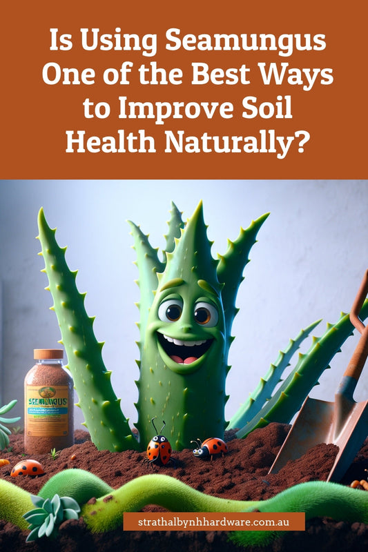 Is Using Seamungus One of the Best Ways to Improve Soil Health Naturally?