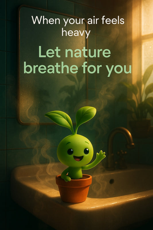 How to Keep Your Bathroom Fresh and Mould-Free Naturally with the Right Plants