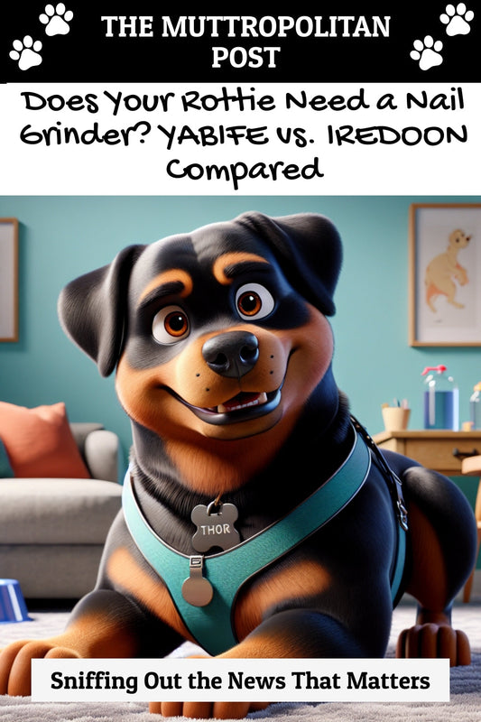 Does Your Rottie Need a Nail Grinder? YABIFE vs. IREDOON Compared