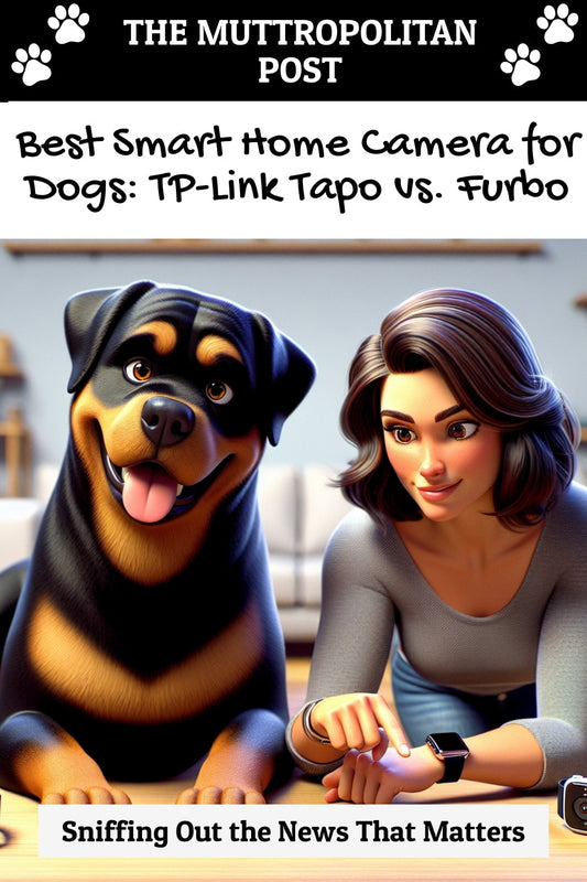 Best Smart Home Camera for Dogs: TP-Link Tapo vs. Furbo