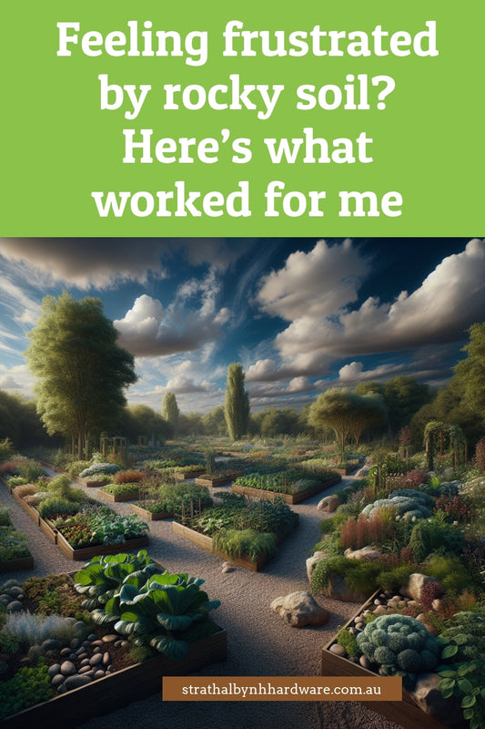 Feeling frustrated by rocky soil? Here’s what worked for me