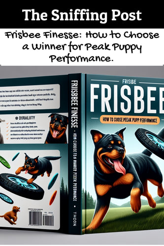 Frisbee Finesse: How to Choose a Winner for Peak Puppy Performance.