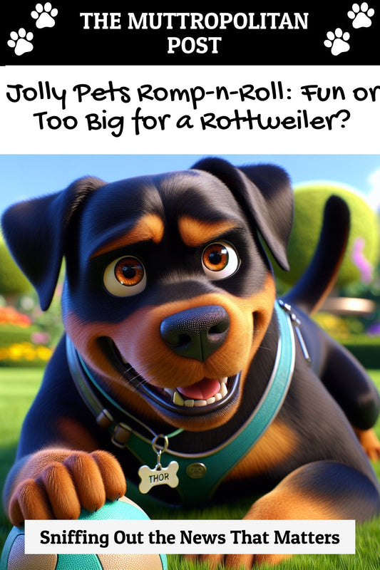 Jolly Pets Romp-n-Roll: Fun or Too Big for a Rottweiler?