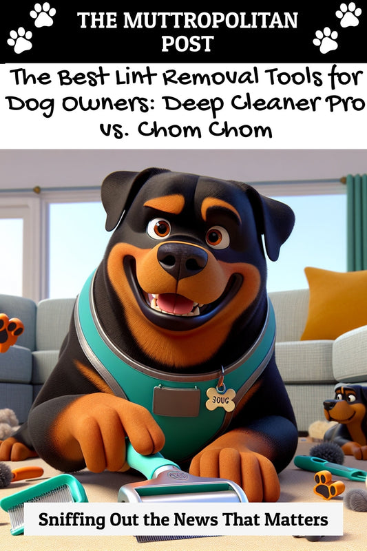 The Best Lint Removal Tools for Dog Owners: Deep Cleaner Pro vs. Chom Chom
