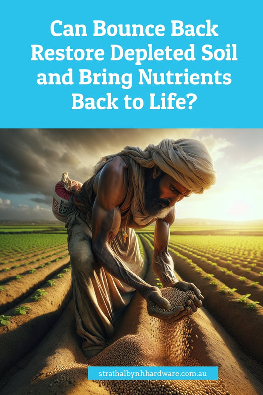 Can Bounce Back Restore Depleted Soil and Bring Nutrients Back to Life?