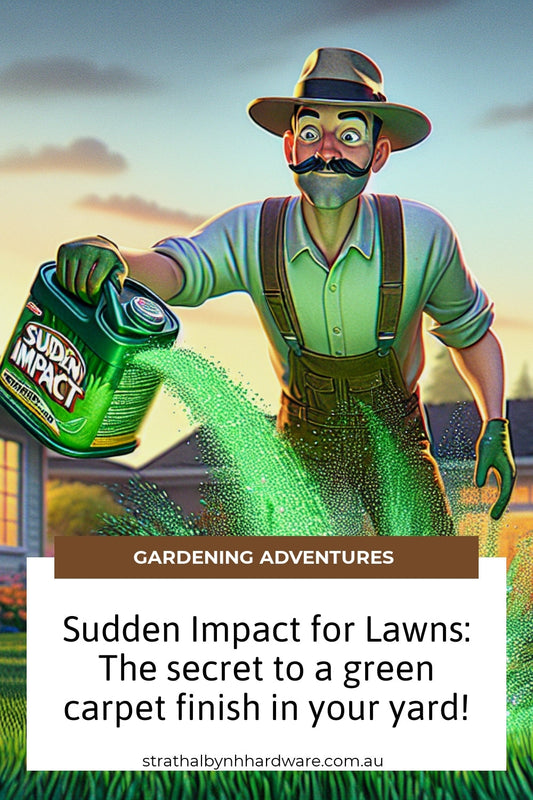 Sudden Impact for Lawns: The secret to a green carpet finish in your yard!