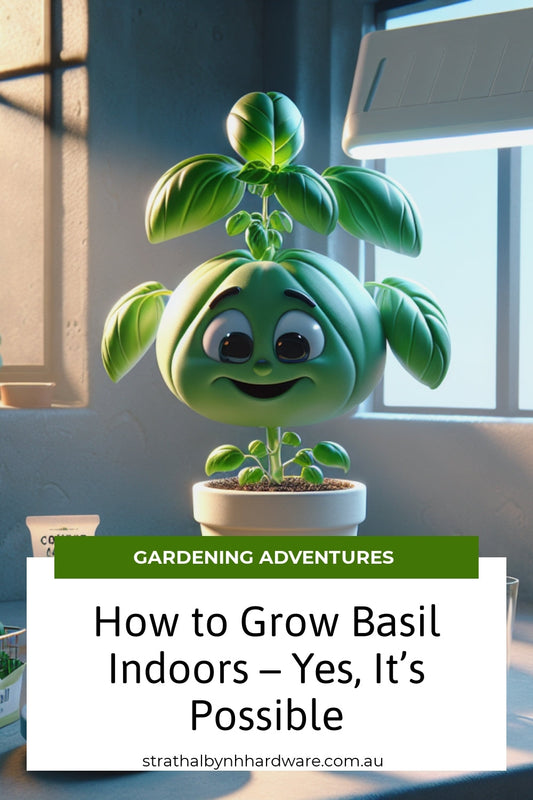 How to Grow Basil Indoors – Yes, It’s Possible