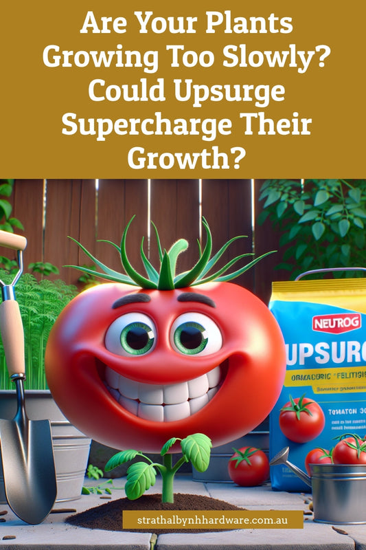 Are Your Plants Growing Too Slowly? Could Upsurge Supercharge Their Growth?
