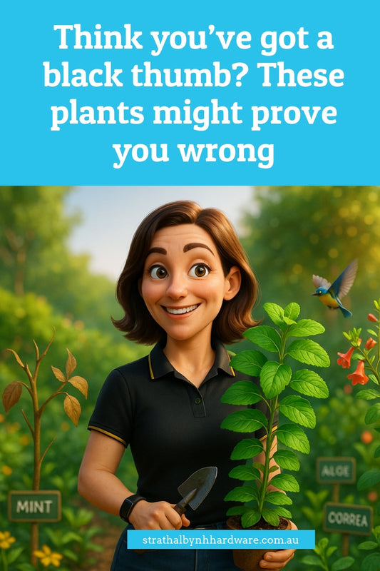 Think you’ve got a black thumb? These plants might prove you wrong