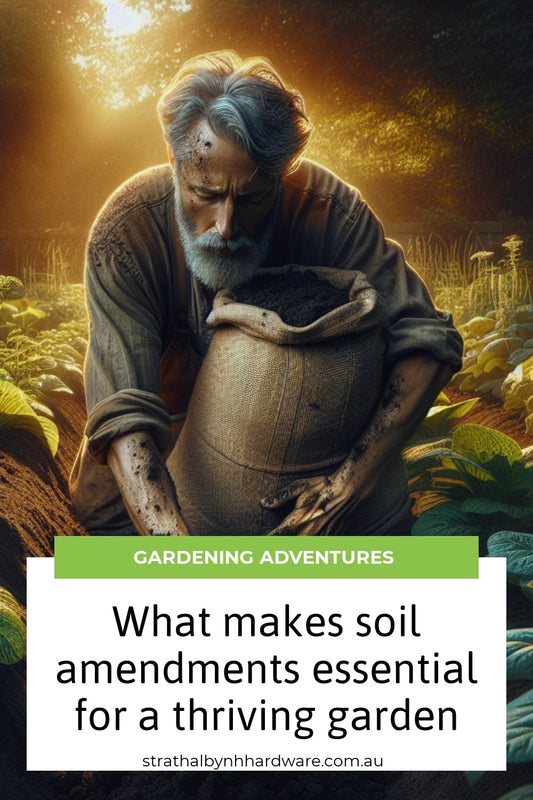 What makes soil amendments essential for a thriving garden
