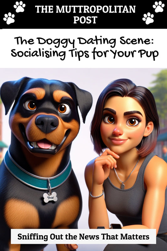 The Doggy Dating Scene: Socialising Tips for Your Pup