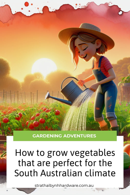 How to grow vegetables that are perfect for the South Australian climate