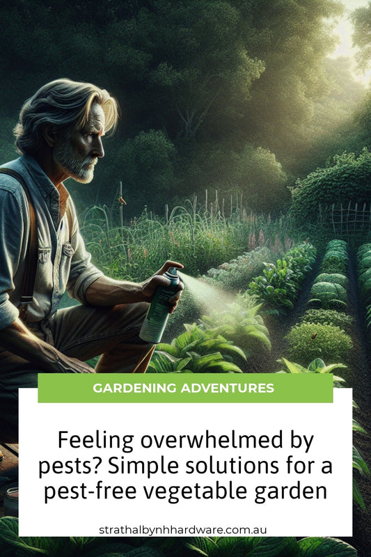 Feeling overwhelmed by pests? Simple solutions for a pest-free vegetable garden