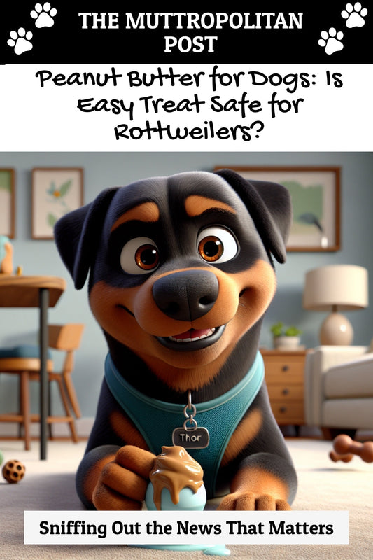 Peanut Butter for Dogs: Is Easy Treat Safe for Rottweilers?