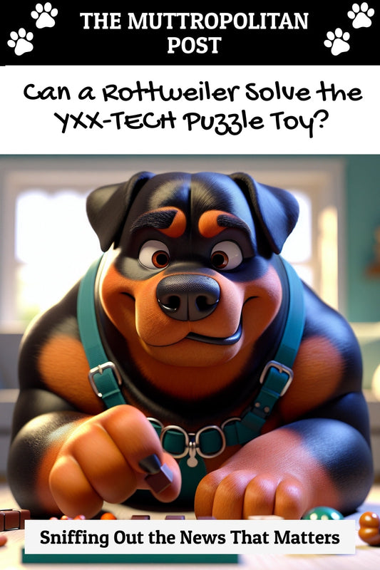 Can a Rottweiler Solve the YXX-TECH Puzzle Toy?
