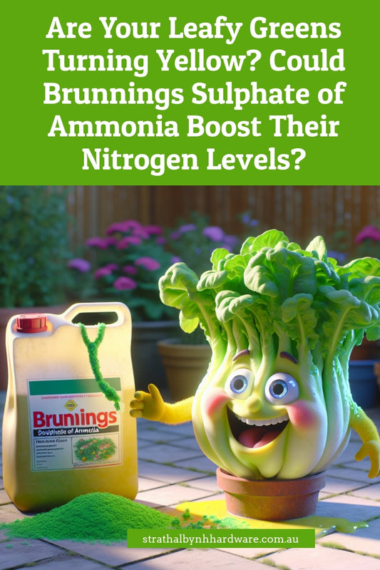 Are Your Leafy Greens Turning Yellow? Could Brunnings Sulphate of Ammonia Boost Their Nitrogen Levels?