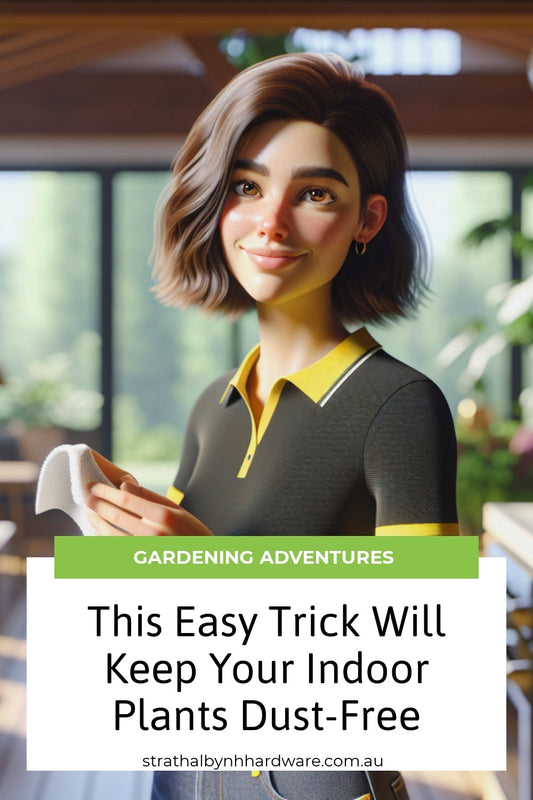 This Easy Trick Will Keep Your Indoor Plants Dust-Free