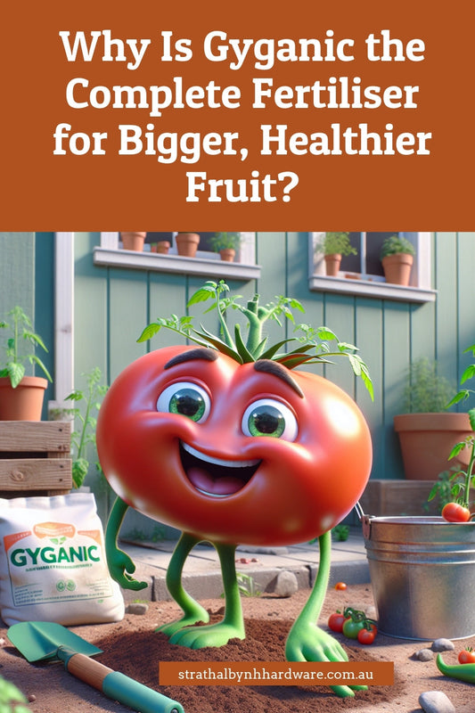 Why Is Gyganic the Complete Fertiliser for Bigger, Healthier Fruit?