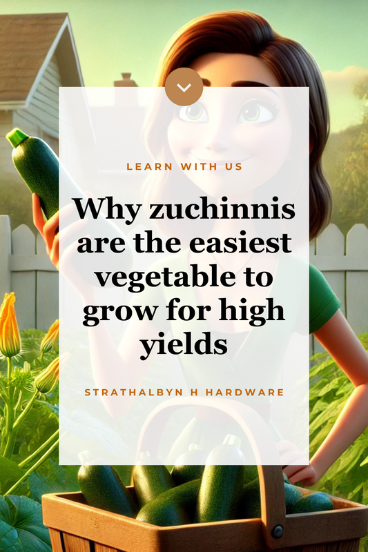 Why zuchinnis are the easiest vegetable to grow for high yields