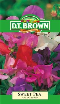 Sweet Pea Galaxy Mix Seeds