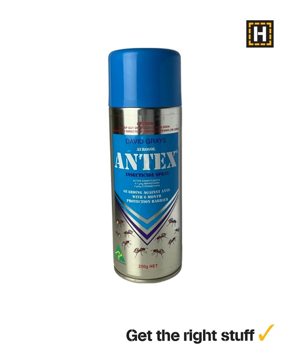 David Grays Antex Insecticide Ant Spray 150g