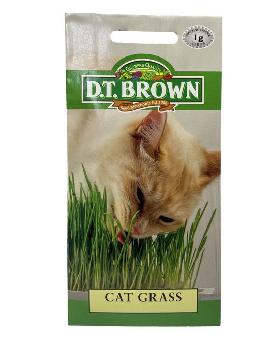 D.T Brown - Cat Grass - 1g Seed Pack