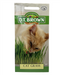 D.T Brown - Cat Grass - 1g Seed Pack