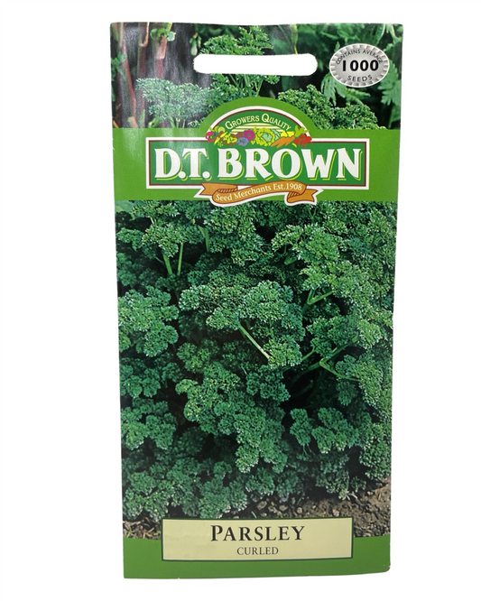 D.T. Brown Seeds - Parsley Curled - 1000 Seed Pack