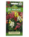 D.T Brown - Snapdragon - 500 seed pack