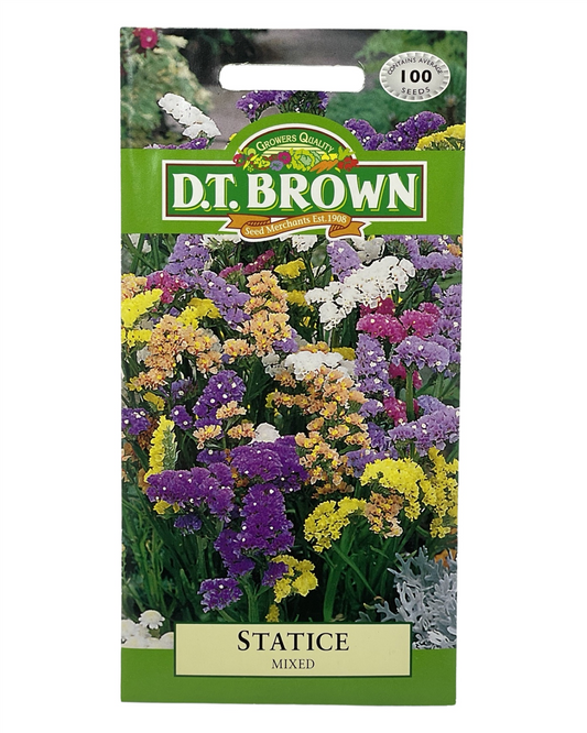 D.T Brown - Statice - 100 seed pack