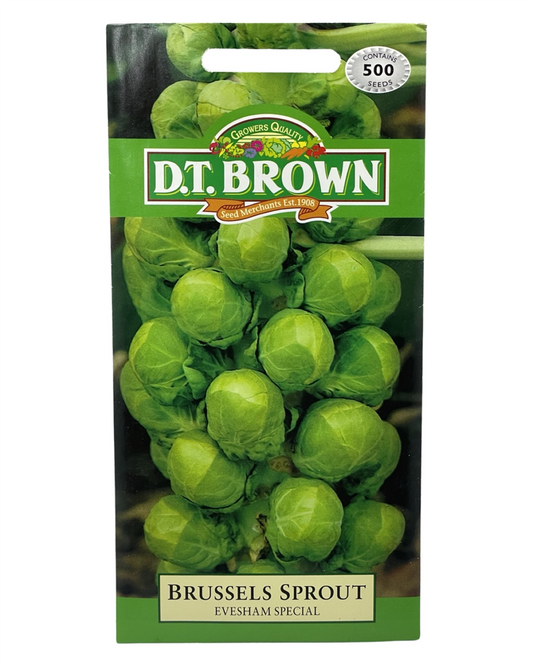 D.T. Brown Seeds - Brussels Sprout Evesham - 500 Seed Pack