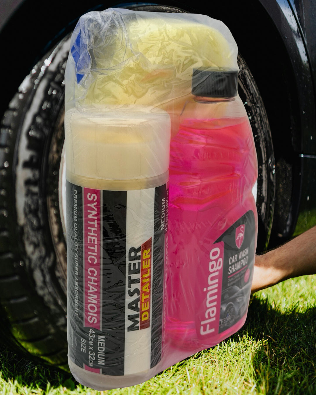 Flamingo Car Wash Pack - F350-CHAM1-SPDBS