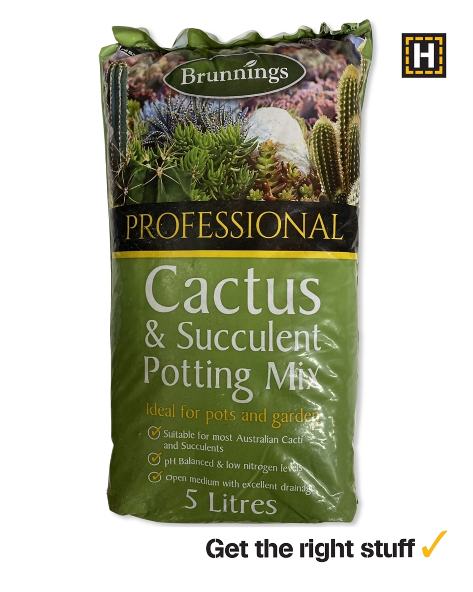 Brunnings Cactus & Succulent Potting Mix 5L view 2