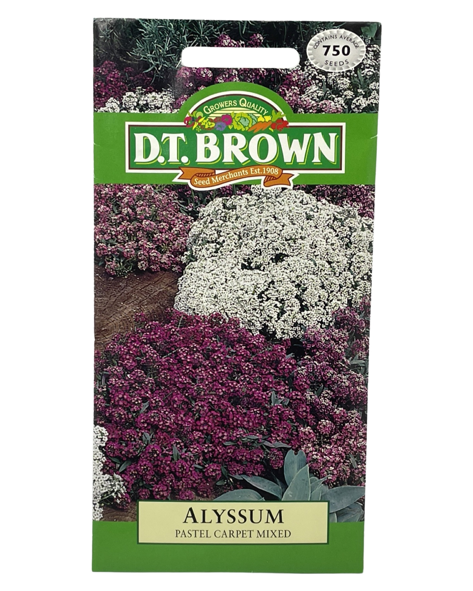 D.T Brown - Alyssum - 750 seed pack view 2