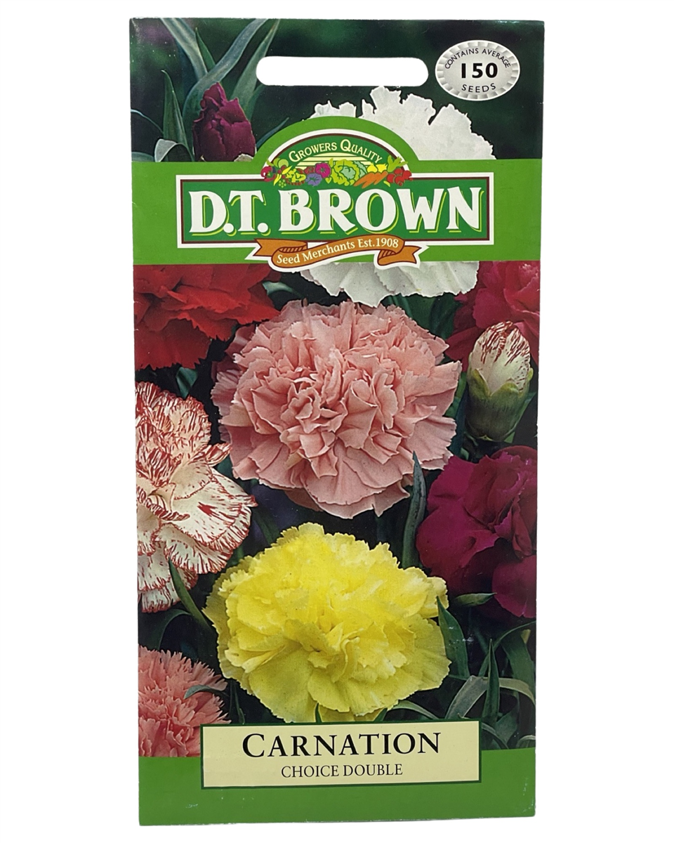 D.T Brown - Carnation - 150 seed pack view 2