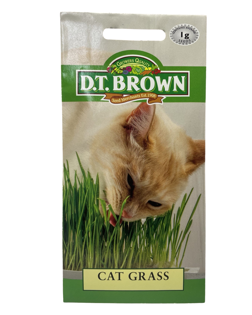 D.T Brown - Cat Grass - 1g Seed Pack view 2