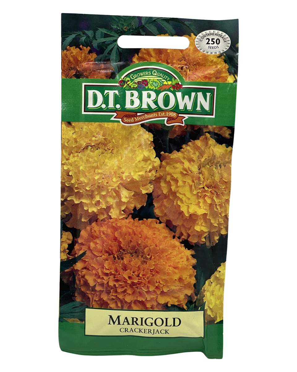 D.T Brown - Marigold - 250 seed pack view 2