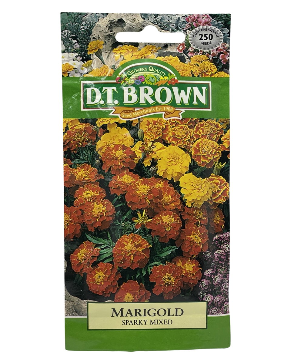 D.T Brown - Marigold Sparky Mixed - 250 seed pack view 2
