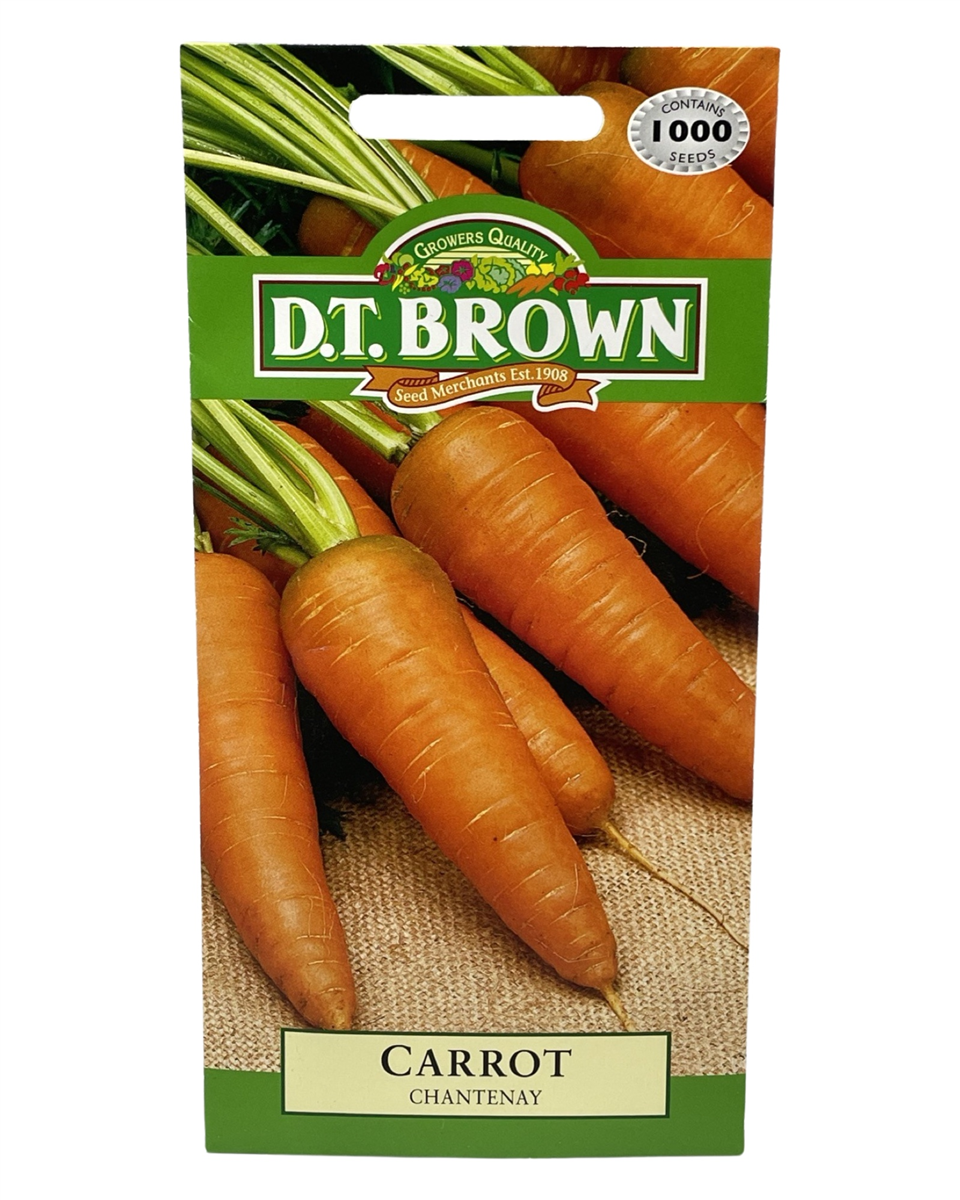 D.T. Brown Seeds - Carrot Chatenay - 1000 Seed Pack view 2