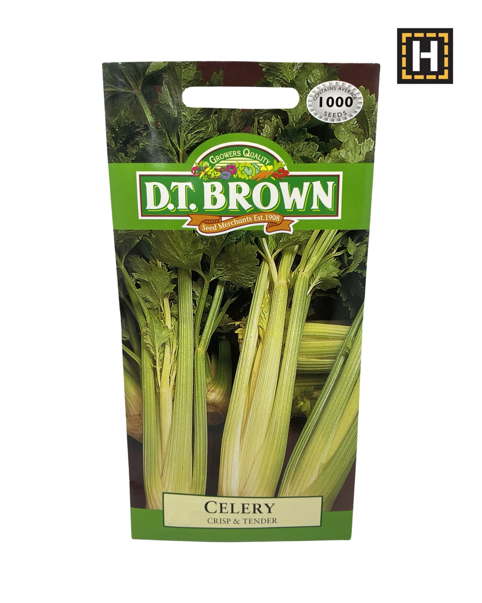 D.T. Brown Seeds - Celery Crisp & Tender - 1000 Seed Pack view 2