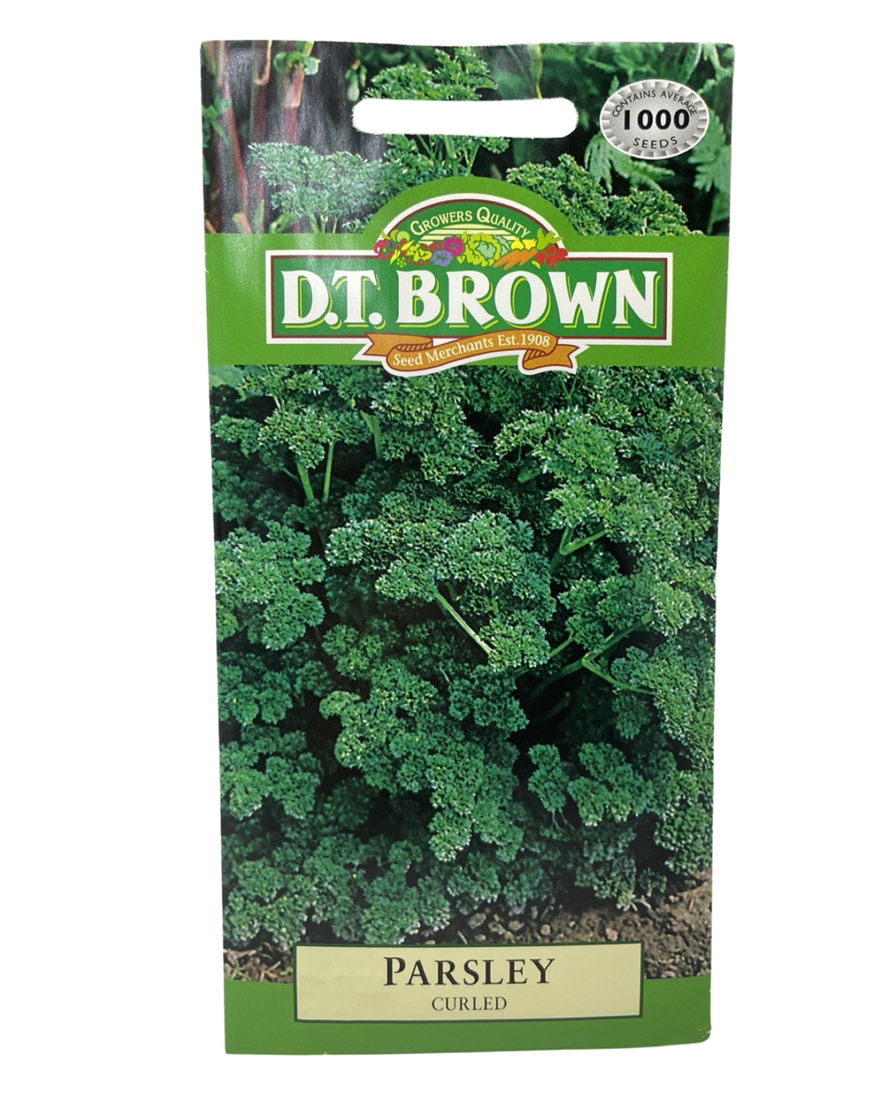 D.T. Brown Seeds - Parsley Curled - 1000 Seed Pack view 2