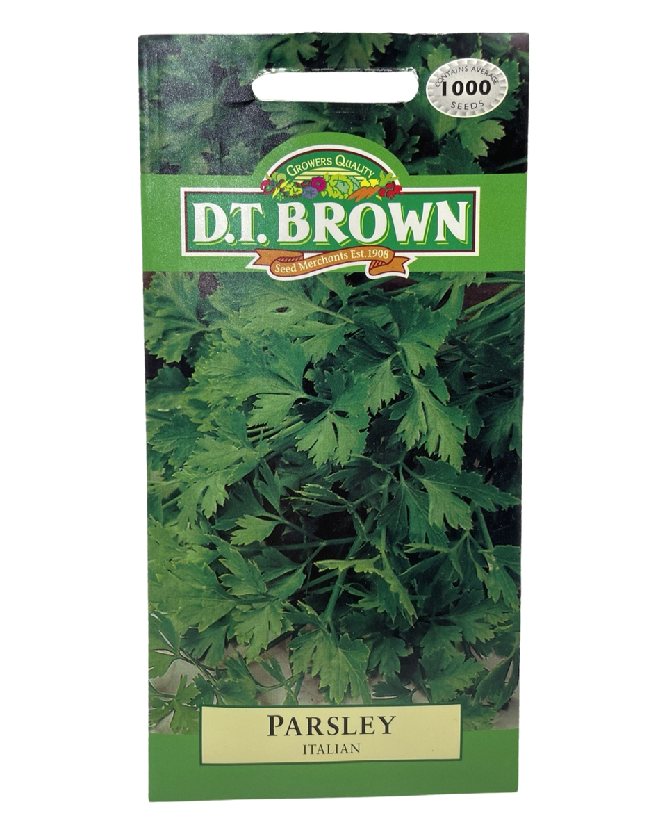 D.T. Brown Seeds - Parsley Italian - 1000 Seed Pack view 2