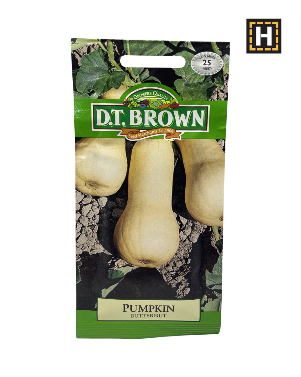 D.T. Brown Seeds - Pumpkin Butternut - 2000 Seed Pack view 2