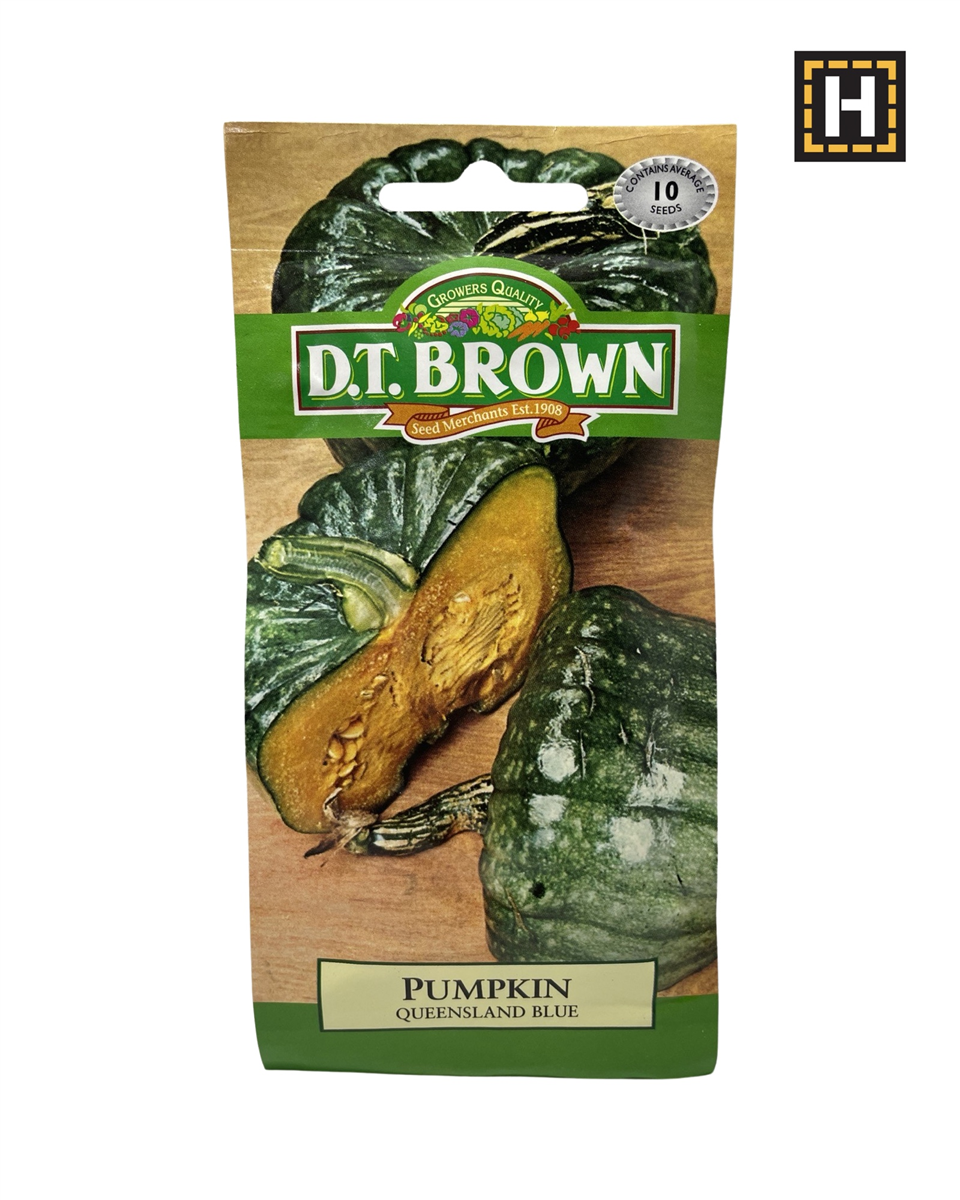 D.T. Brown Seeds - Pumpkin Queensland Blue - 10 Seed Pack view 2