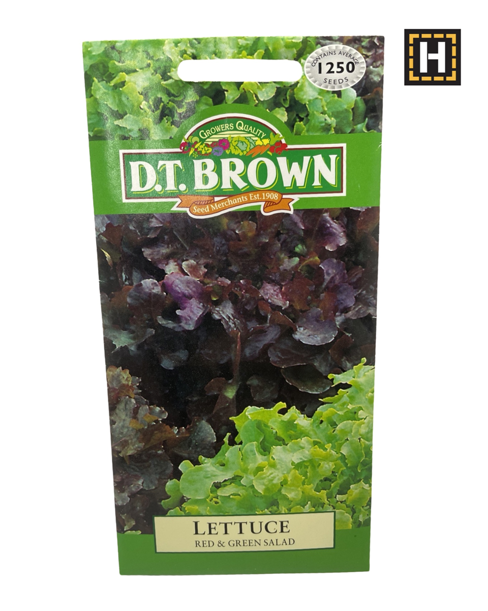 D.T. Brown Seeds - Red & Green Salad Lettuce - 1250 Seed Pack view 2