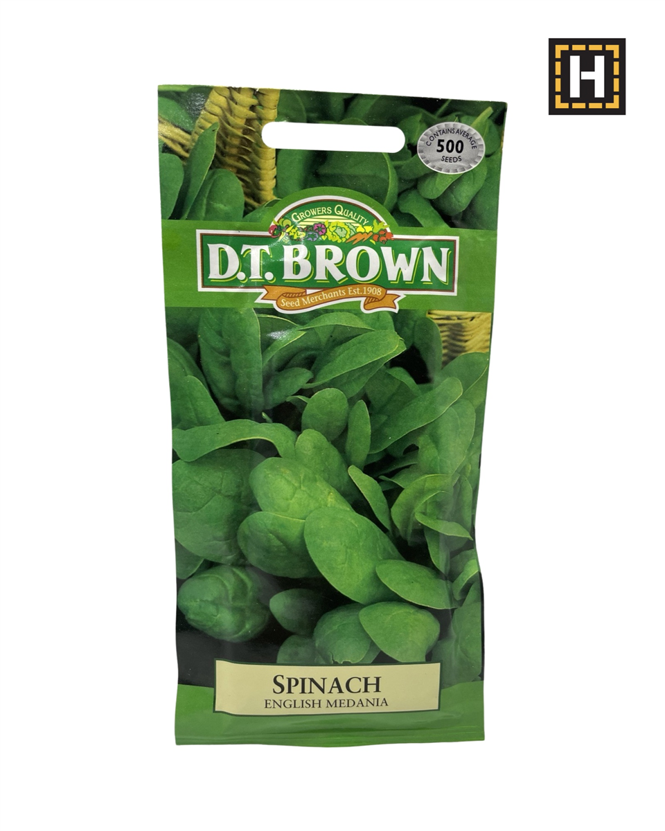 D.T. Brown Seeds - Spinach English Medaniat - 500 Seed Pack view 2